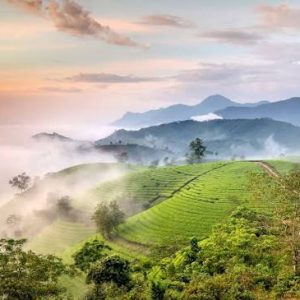 Tour Du Lịch Phú Thọ - Khám Phá Đất Tổ Cội Nguồn